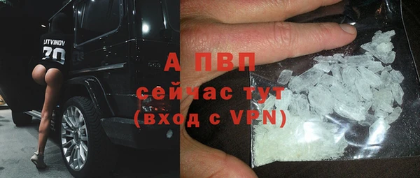 индика Беломорск
