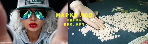 дживик Богданович