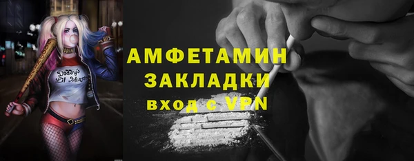 индика Беломорск