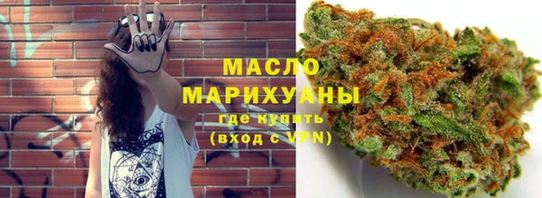 индика Беломорск