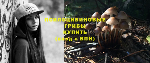 mix Армянск