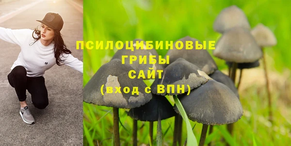 индика Беломорск